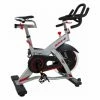 BH Fitness Vélo De Biking REX H921 20 Kg Usage Professionnel