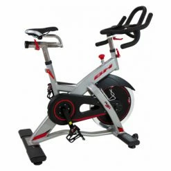 BH Fitness Vélo De Biking REX H921 20 Kg Usage Professionnel