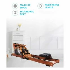 Rameur Hernan Line By Clover Fitness